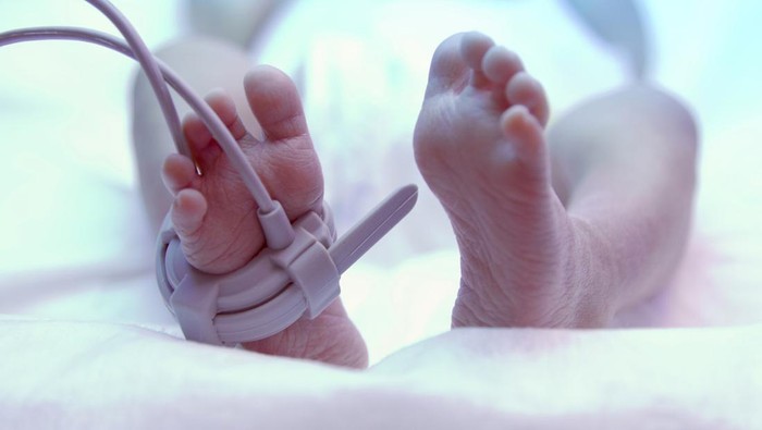 Feet of new born baby under ultraviolet lamp in the incubator