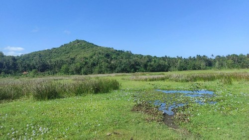 Kondisi Danau Yeh Malet yang kini banyak ditumbuhi semak belukar
