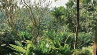 Sesuai dengan konsepnya, resort ini juga menyediakan beragam aktivitas untuk healing beneran. Nah, salah satu yang Maudy ikuti adalah sesi pilates dan yoga. 