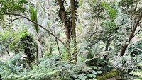 Resort ini tak hanya memiliki area landai, tapi juga kawasan hutan hijau dengan ketinggian yang bervariasi. Selain memanjakan mata, tentu kesempatan ini dimanfaatkan juga oleh Maudy untuk berolahraga. 