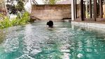 Staycation Sehat di Resort Mewah ala Maudy Ayunda