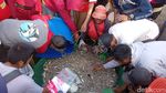Jaring Arad, Menangkap Ikan Cara Nelayan Klasik di Batukaras