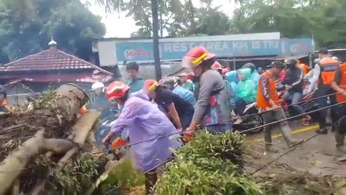 Pohon tumbang di Caringin Tutup Jalur Sukabumi-Bogor
