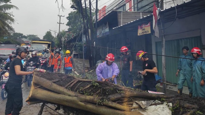 Pohon tumbang di Kecamatan Caringin, Bogor sudah dievakuasi