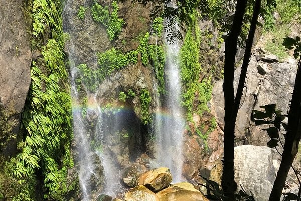 Sambo Creek juga punya air terjun yang cantik. Foto: TripAdvisor