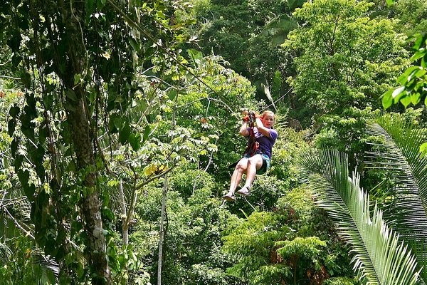 Menjelajah hutan juga bisa dilakukan di Sambo Creek. Foto: TripAdvisor