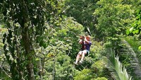 Menjelajah hutan juga bisa dilakukan di Sambo Creek. Foto: TripAdvisor