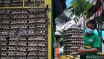 Antrean Pembeli Telur Ayam Murah di Pasar Minggu, Jaksel