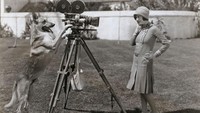 Seekor anjing bernama Flash dari MGM terlihat bak juru kamera saat merekam gaya seorang model pada 1 Januari 1920.