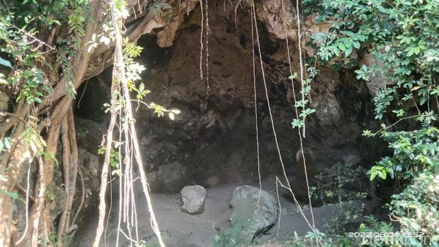 Wisata Bulaga Lamongan