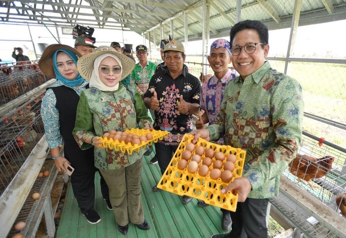 Abdul Halim di Demplot Peternakan Terpadu Berkelanjutan