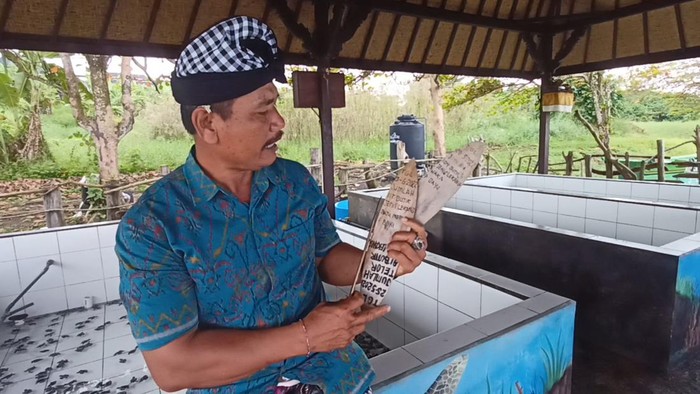 Bendesa Adat Yeh Gangga, Ketut Dolia, menunjukkan catatan waktu penetasan telur penyu di Konservasi Gangga Lestari di Pantai Yeh Gangga, Desa Sudimara, Kecamatan Tabanan.