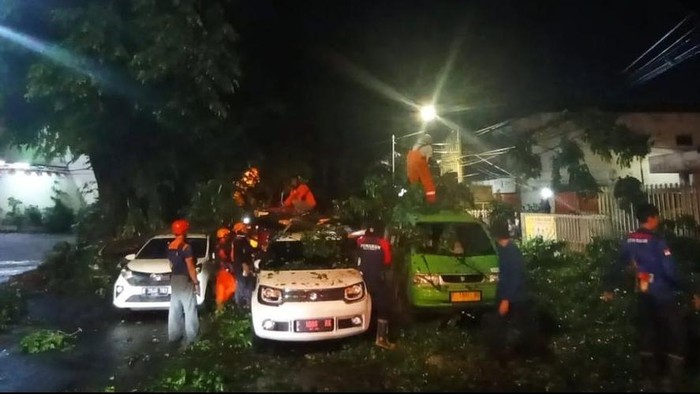 Dahan tumbang timpa 3 mobild i Bogor akibat hujan deras dan angin kencang