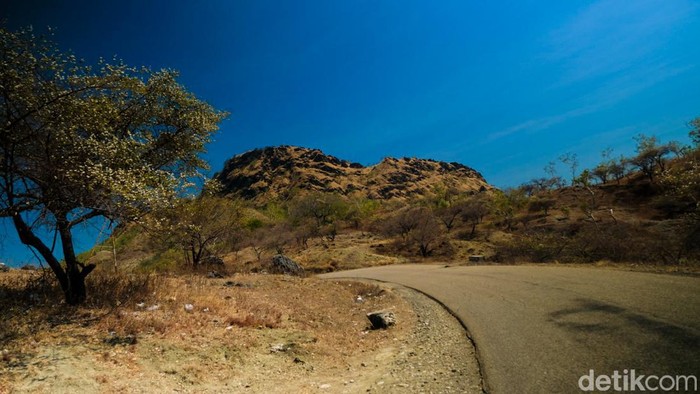 Keren, Akses Jalan ke Wini Cocok Nih Jadi Spot Foto-foto Seperti ini akses jalan menuju Kota Wini di Kabupaten Timor Tengah Utara, Provinsi NTT. Jalanan menuju Wini melewati bukit yang berkelok-kelok.