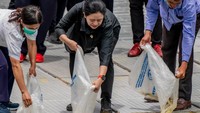 Aksi Puan Maharani menebar benih ikan nilem dan jelawat ke Danau Toba. Kegiatan tersebut ia lakukan pada kunjungan kerja di Kecamatan Muara, Kabupaten Toba, Sumut.