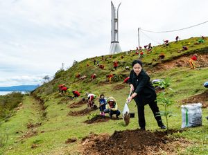 Kunker ke Sumut, Puan Tanam Bibit Pohon hingga Tebar Benih Ikan