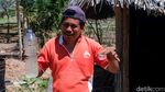 Melihat Pembuatan Sopi di Wini, Minuman Tradisional dari NTT