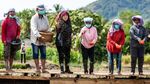 Momen Puan Tebar Benih Padi di Toba Sumut