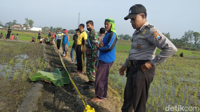 nenek tewas tersengat jebakan tikus