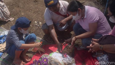 Potret Manene Suku Toraja, Ritual Membersihkan Mumi Leluhur