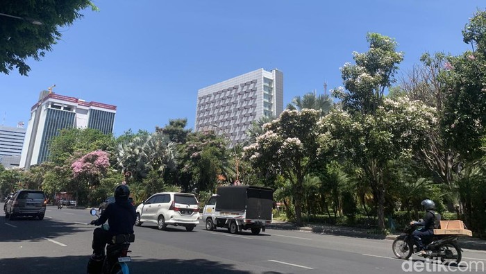 tabebuya blossom