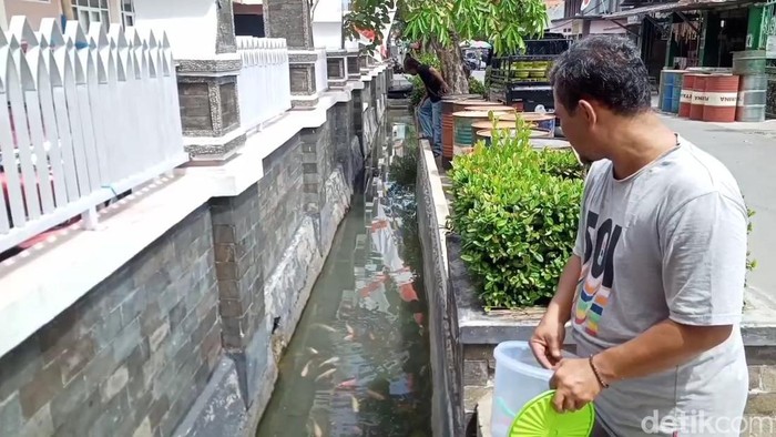Warga Purwakarta sulap selokan jadi kolam ikan.