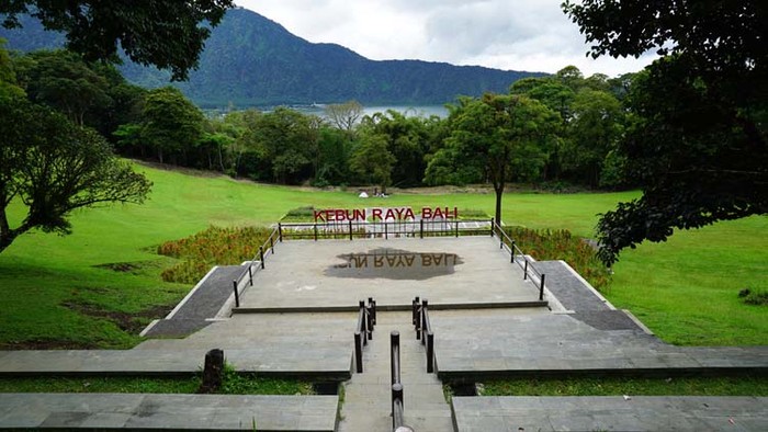 Kebun Raya Bali.