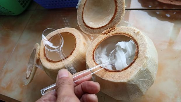 Kelapa muda jelly di Bedugul