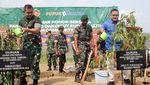 Kolaborasi Penanaman Pohon untuk Kurangi Emisi Karbon