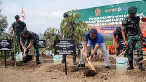 Kolaborasi Penanaman Pohon untuk Kurangi Emisi Karbon