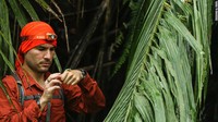 Peneliti yang sedang berfokus pada katak pohon.