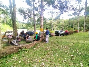 Berkemah di Hutan Manistutu Jembrana Bayarnya Pakai Bibit Pohon Buah