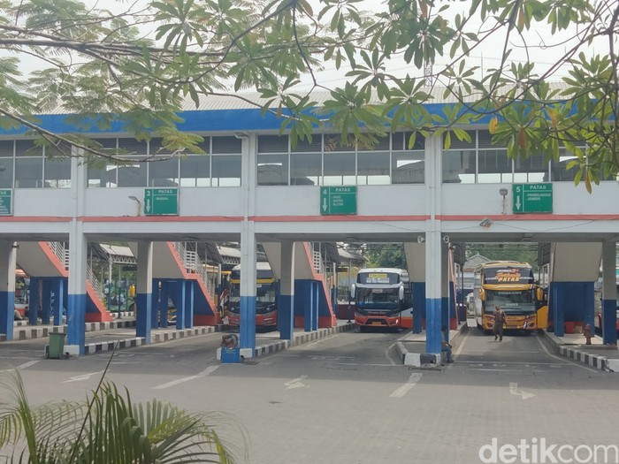 Pantauan bus di Terminal Purabaya