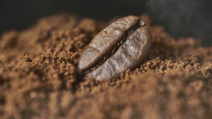 Agar Tak Salah Beli, Kenali Perbedaan 4 Jenis Biji Kopi Ini