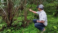 Contoh Flora Dan Fauna Asli Bali, NTB, Dan NTT