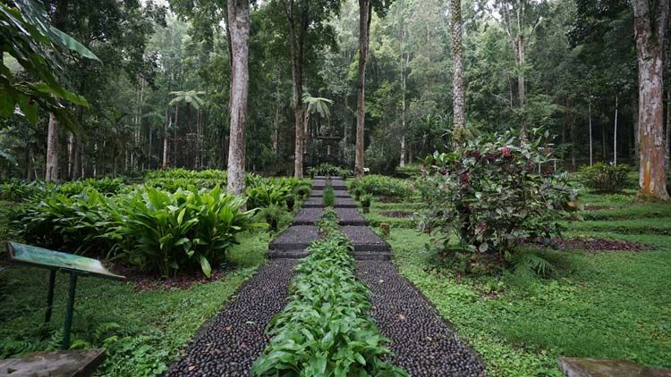 Taman Usada Kebun Raya Bali.