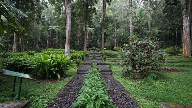 Taman Usada Kebun Raya Bali.