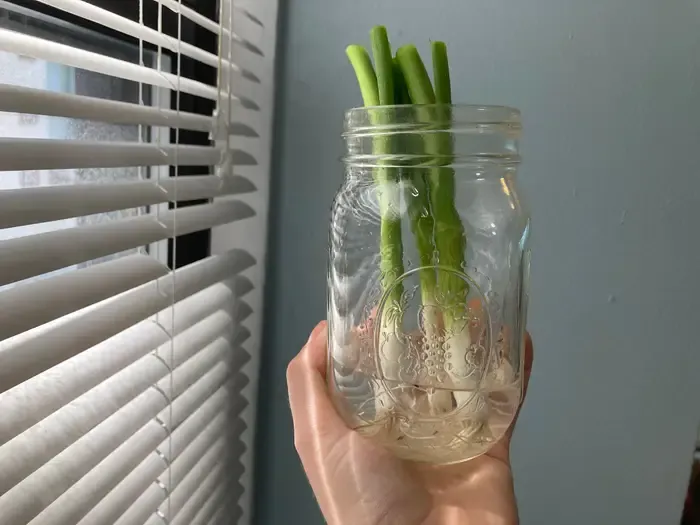 Tips masak viral ala TikTok