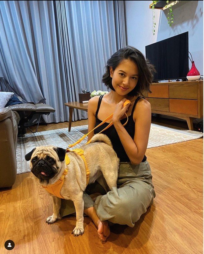 Biasa tampil dengan rambut panjang, Aurelie Moeremans kini terlihat merubah penampilannya, Rambut yang tadinya sudah cukup panjang hingga sepinggang kini menjadi jauh lebih pendek. Foto: Instagram/@aurelie