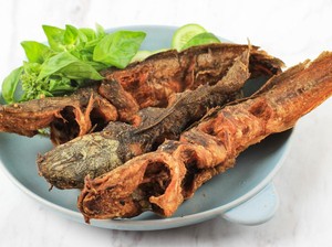 Cara Menggoreng Lele Agar Renyah dan Gurih, Cocok untuk Pecel Lele