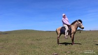 Berkeliling naik Kuda.