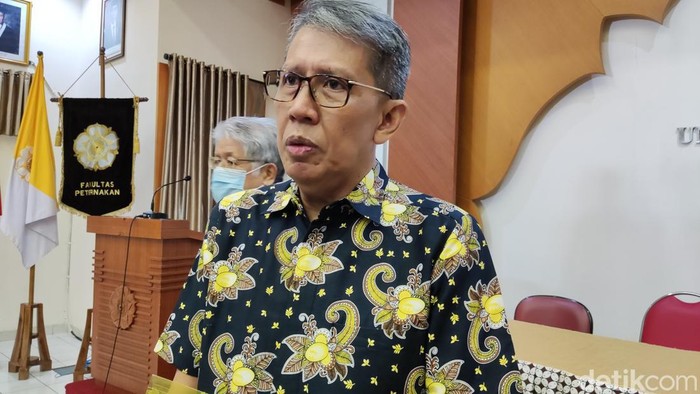 Ketua Presidium Pinsar Petelur Nasional Yudianto Yogiarso