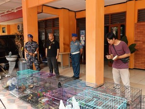 Koarmada II Serahkan Satwa Endemik Papua ke BKSDA Jatim