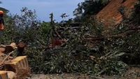 Sitinjau Lauik Longsor Lagi Timpa Truk, Jalur Padang-Solok Terputus