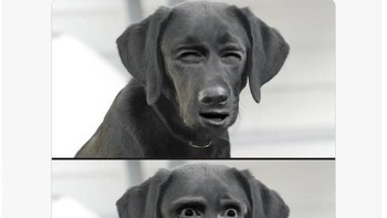 Ekspresi fans Arsenal sebelum dan sesudah pertandingan.  Foto: Twitter