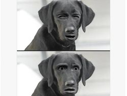 Meme Kocak Manchester United Kalahkan Arsenal 3-1 di Old Trafford