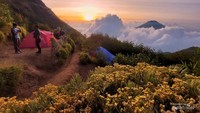 Gunung Sindoro diselimuti awan