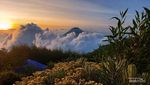 Potret Sunset Cantik Gunung Sumbing via Garung