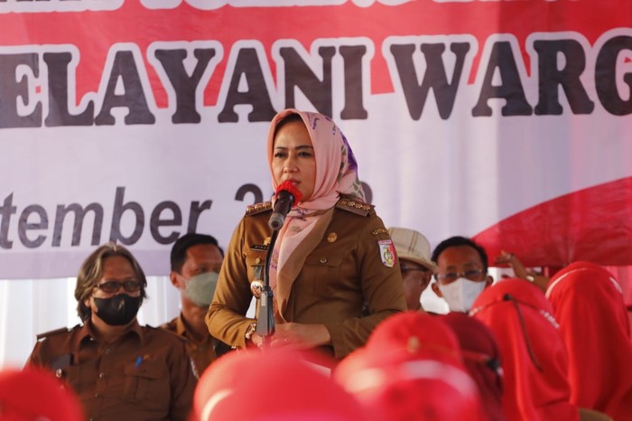 Pemkab Tulang Bawang