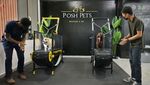 Potret Lucu Anjing-anjing yang Doyan Nge-gym, Gemoy Banget!